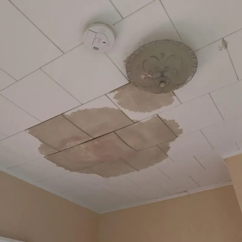 Ceiling Water Damage Repair in Flowery Branch, GA