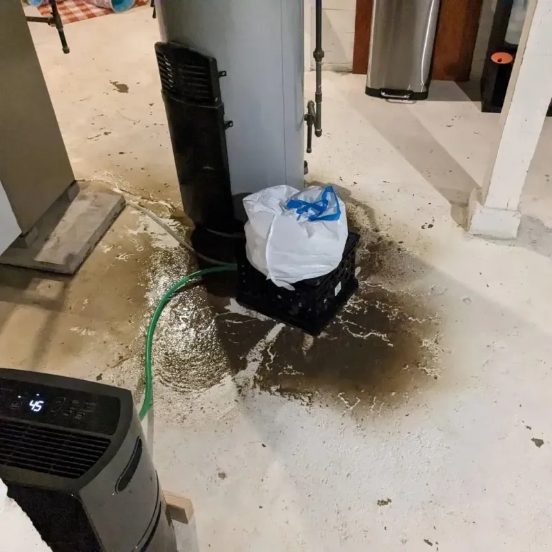 Sewage Backup Cleanup Service in Flowery Branch, GA